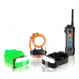 Collare Educativo Dogtra 4503 EDGE