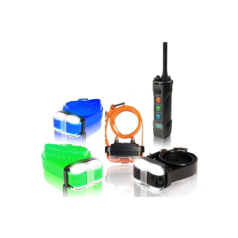 Collare Educativo Dogtra 4504 EDGE