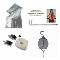 Macellazione e lavorazione della carne