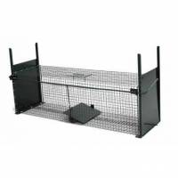 Trappole e gestione faunistica