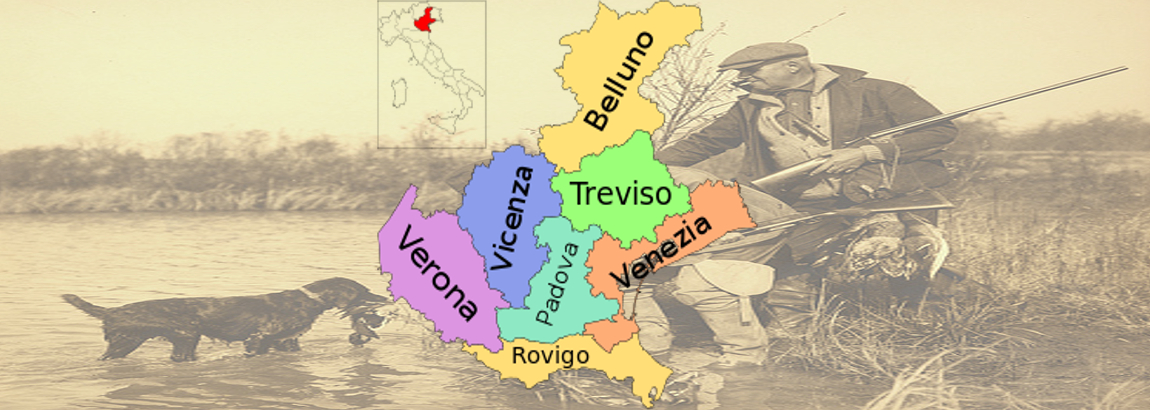 Veneto: accolto ricorso al Tar