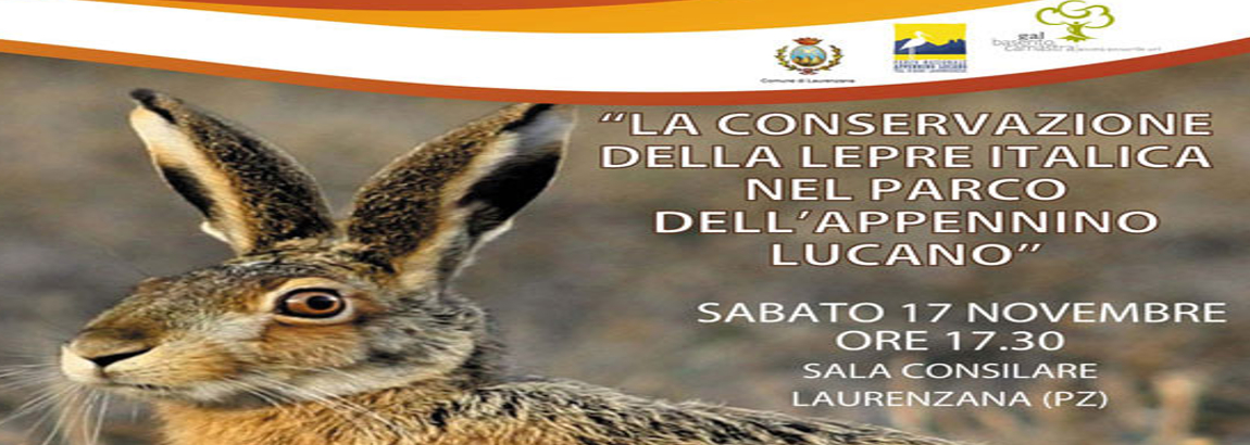 Convegno sulla conservazione della Lepre italica nel Parco dell’Appennino Lucano