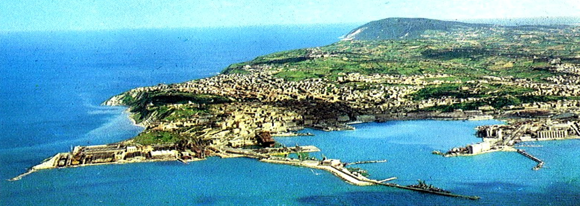Ancona: piano contenimento cinghiali