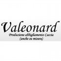 Valeonard